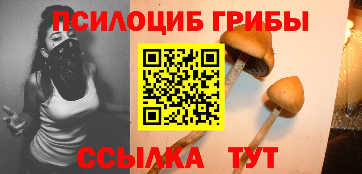 Псилоцибиновые грибы мухоморы Ачхой-Мартан